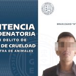 Sentencian a hombre por crueldad animal en Miacatlán
