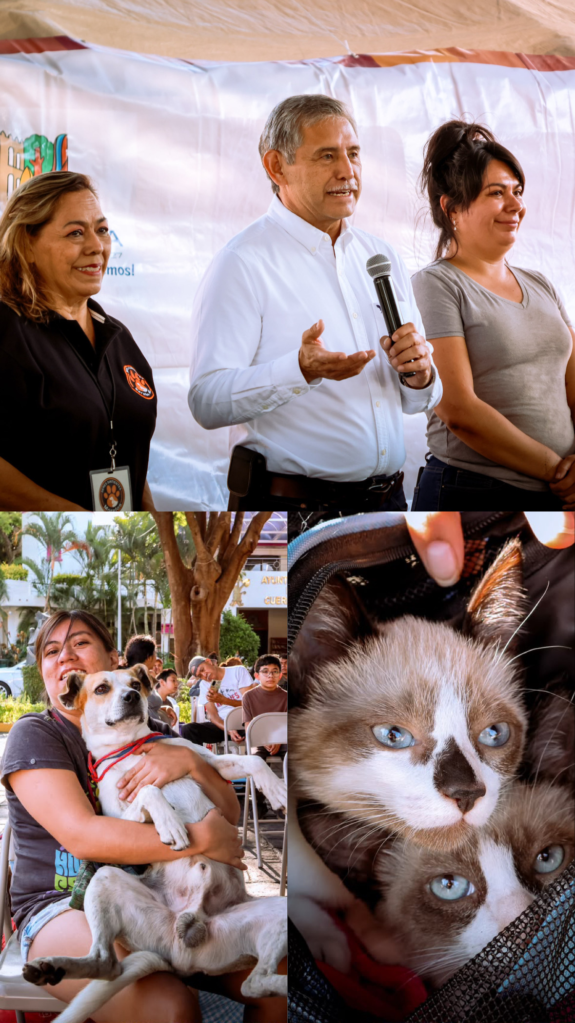 La tenencia responsable gana terreno en Cuernavaca con nueva jornada gratuita de esterilización