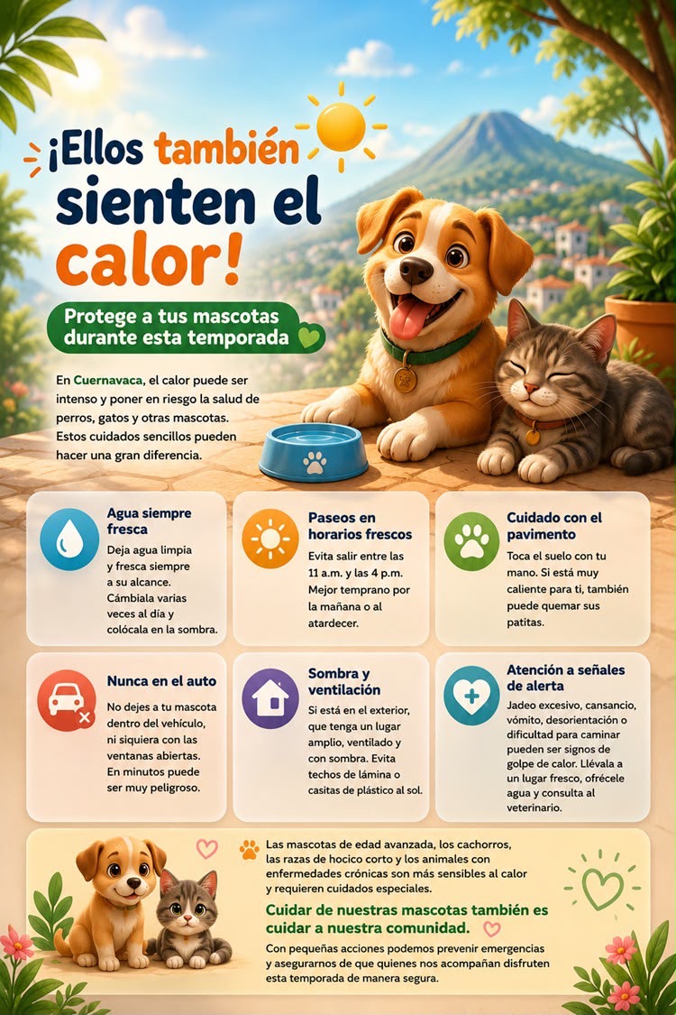 Cuernavaca invita a disfrutar las vacaciones con responsabilidad y proteger a las mascotas del calor