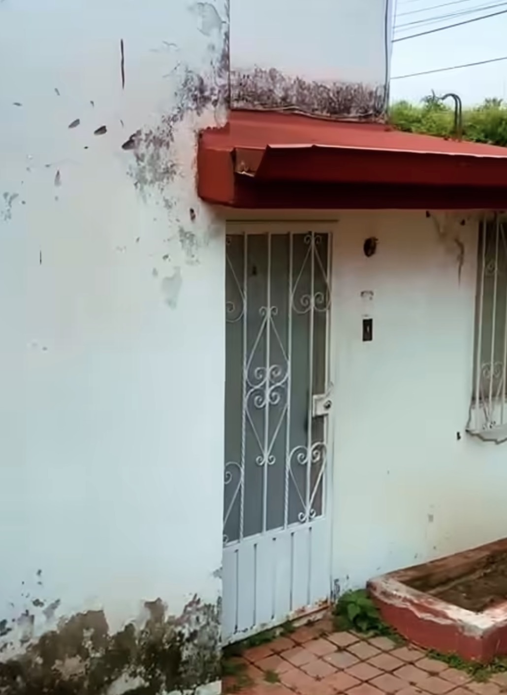 Fiscalía descarta violencia en muerte de mujer localizada en FOVISSSTE Cantarranas; un canino estaba con ella, se entregó a los familiares